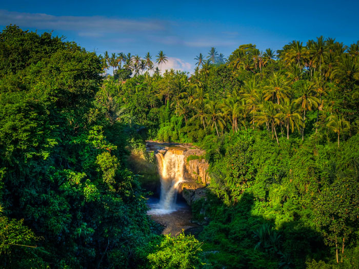 bali waterfall near ubud