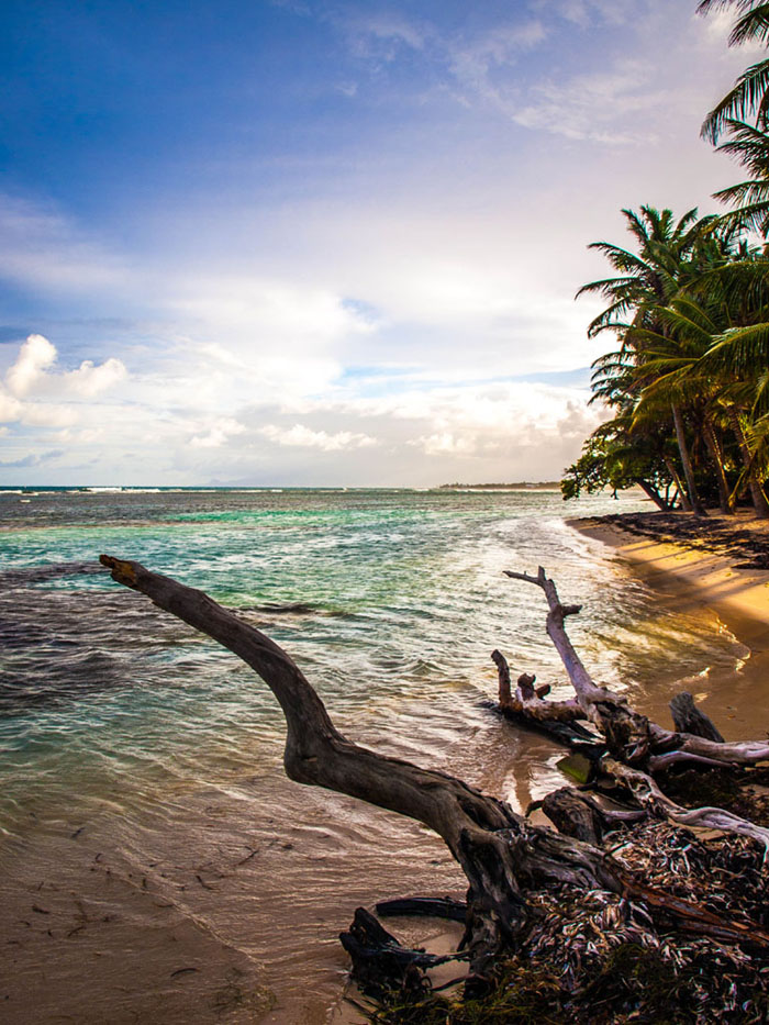 beach guadeloupe caribbean sea