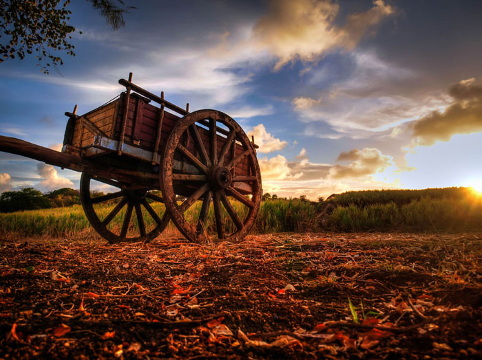 sunset guadeloupe fields